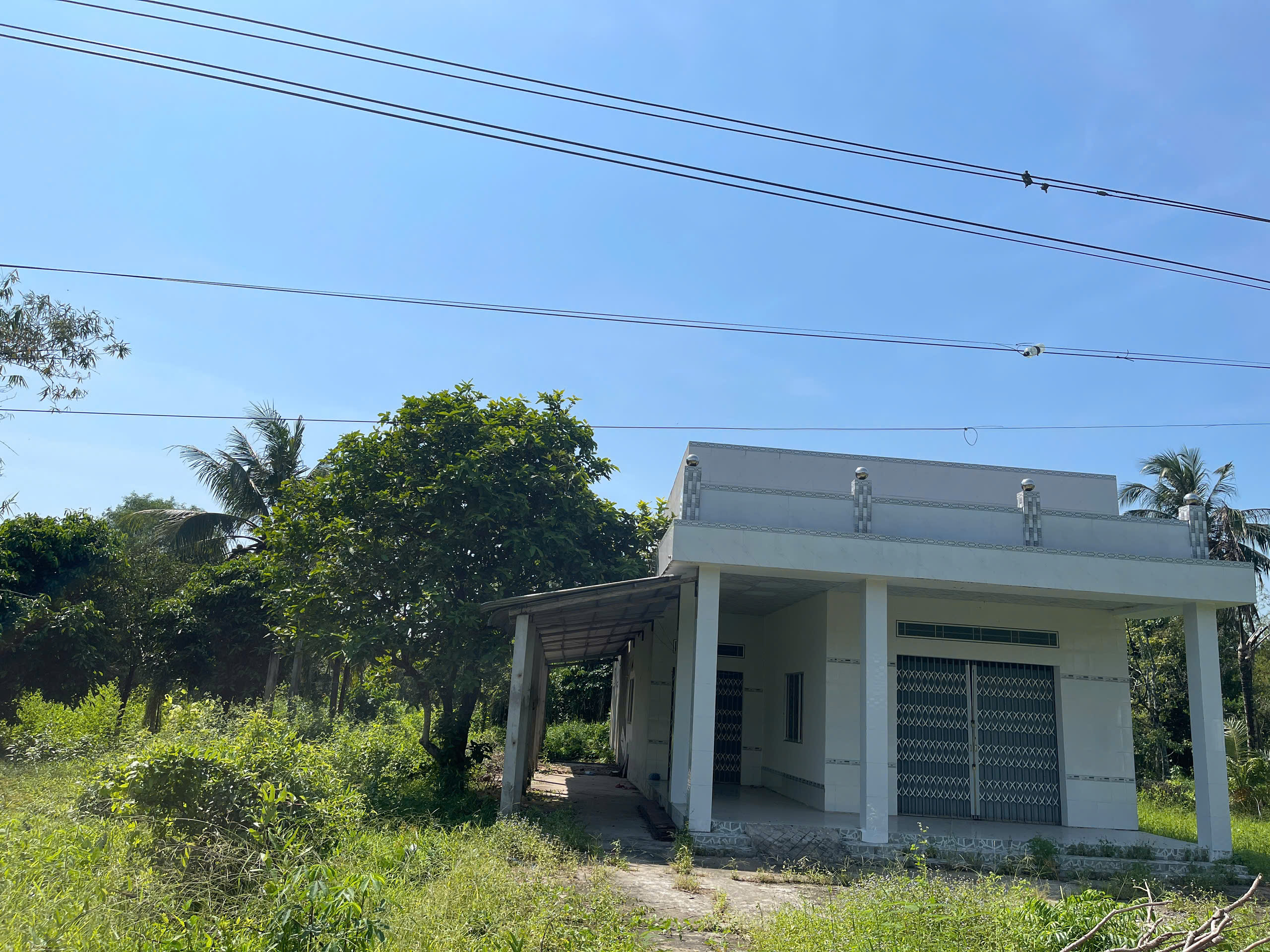 z6204938694899_6c9e804389480b1195ff76a14324d49c