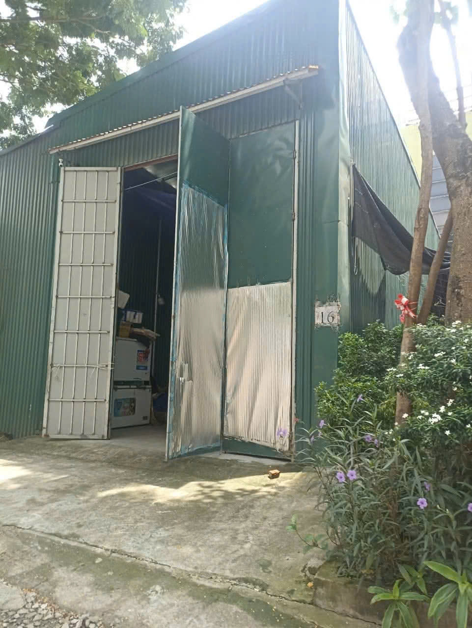 z6335838191540_c2180c2abee7889dc85dd76596f9b079