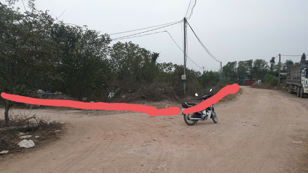 z6346435025339_0af4650dd9c5ce87c054fb5ce02ebfee