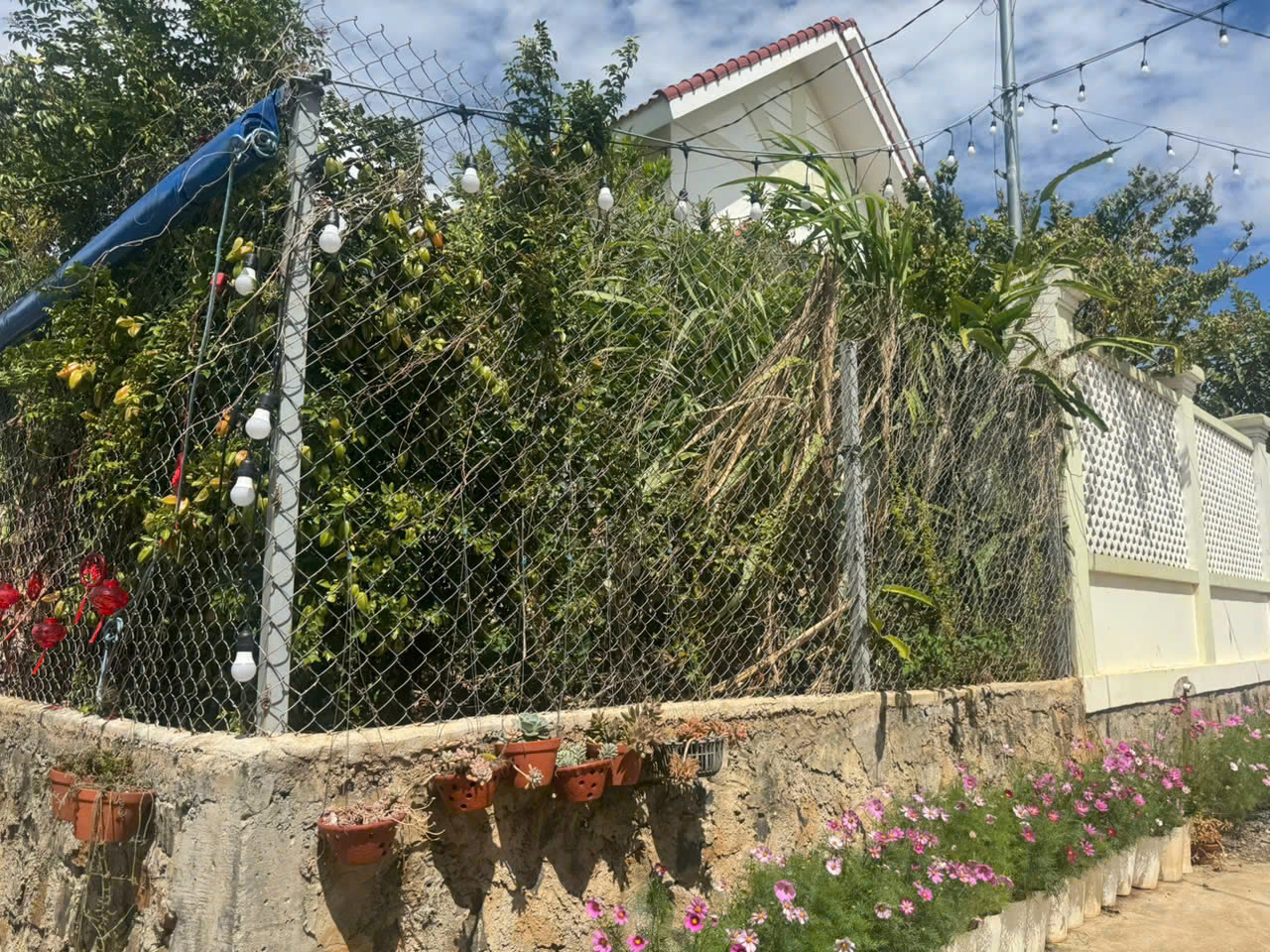 z6350110778731_75cea23ed18f65b4792371263cfbe08a