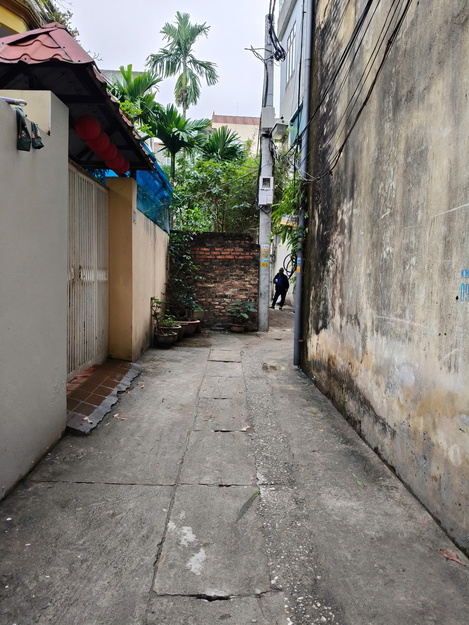 z6355154198566_eceda5fa4935267d5f4930e9d15b8377