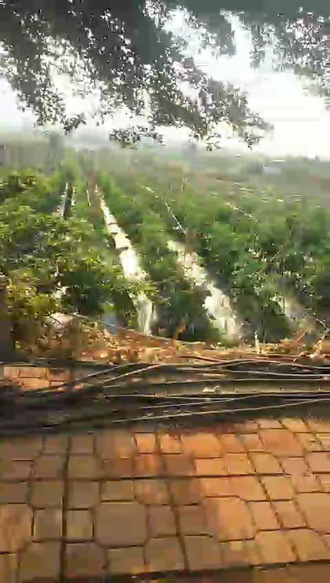 z6359652326047_1d16e6cf47b5e792fb322414a65404b0