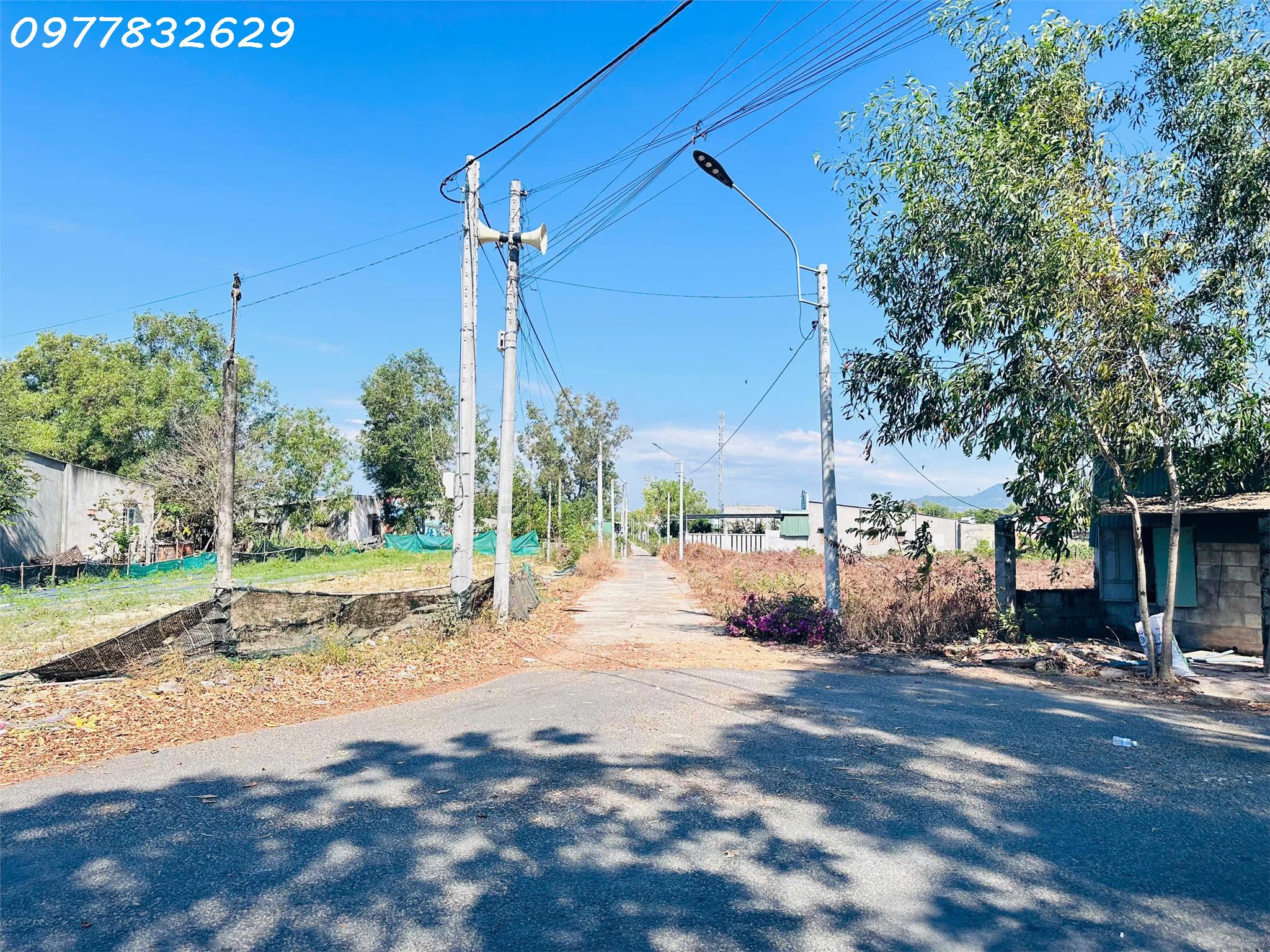 z6360020700480_376e3b7d2dd87b13c57506eaf6789598