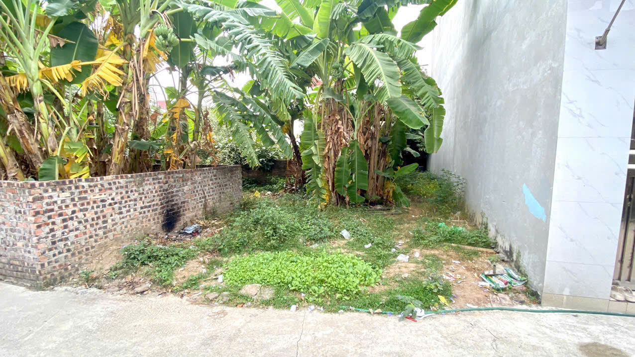 z6360466401058_9f88a893d9398b451f9a3a31d0e8c708