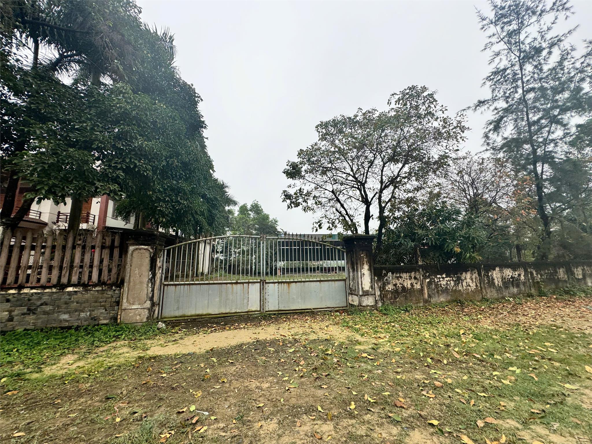 z6360526980573_ab531c70ded19551e405c86474867358