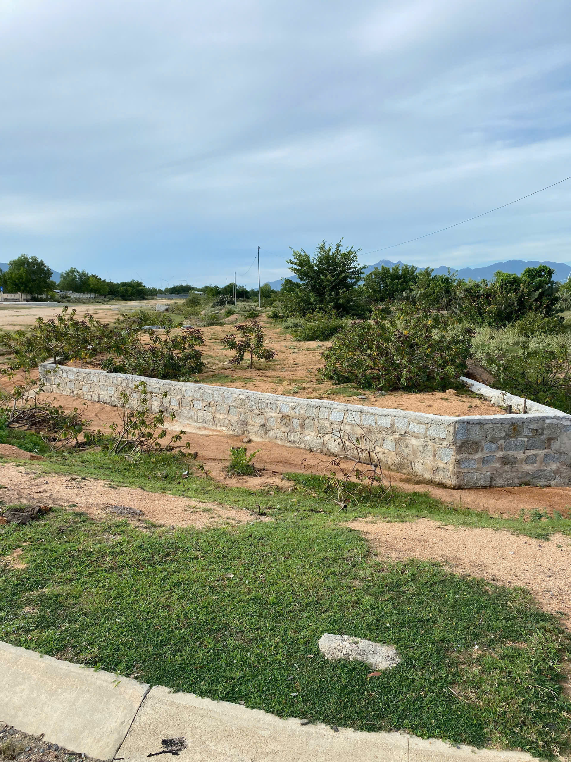 z6361920896613_94b2671a25c01a281532cc44c8f9bdfc