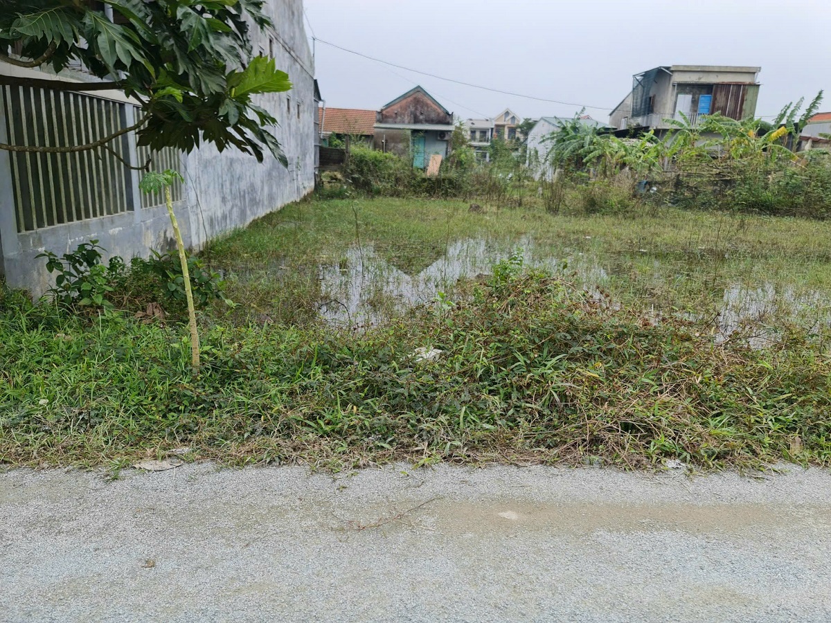 z6362028672243_655e267155368a981bd459e4d706010a