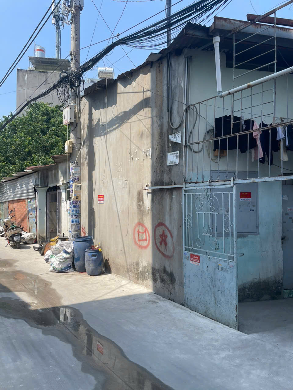 z6363369475191_abccf07703e801fca96eddbeed3321a5