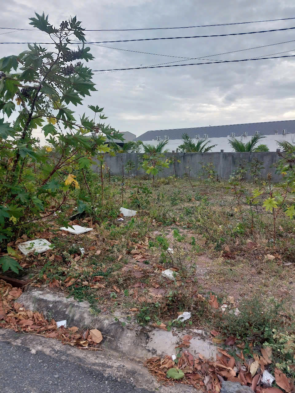 z6370064012755_8ed5de04be8beaafd12c9ff325d1b630