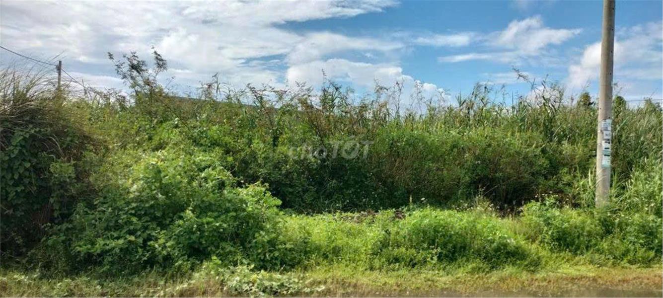 z6372413657224_4eb740a0e096a67c3933d3c2762cb583