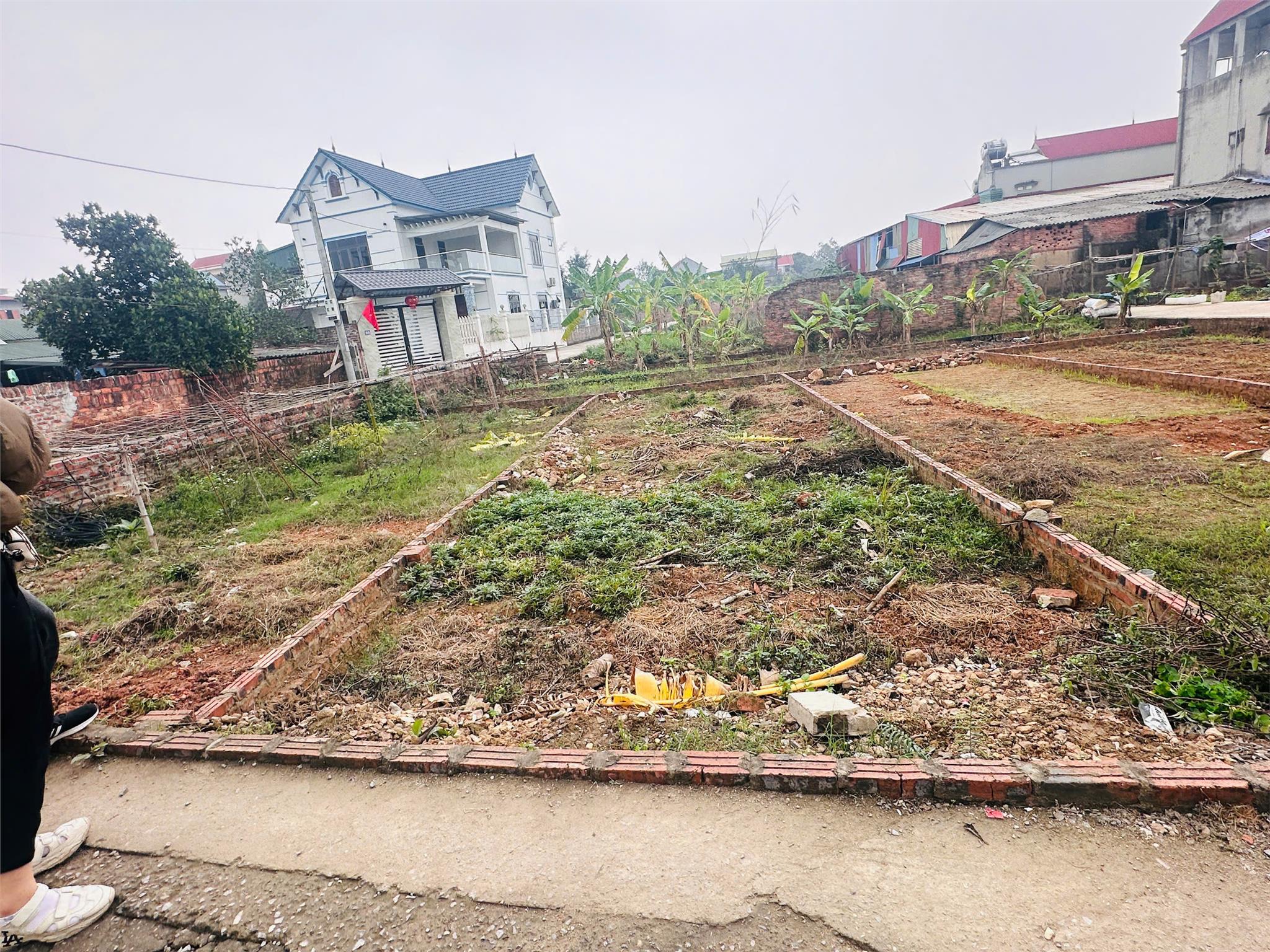 z6376178196274_099bc93178f57c14d58d1962fae96058