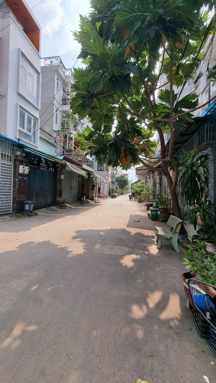 z6378204677403_d3364d96931d1274d4d9fc8fb2d42d01