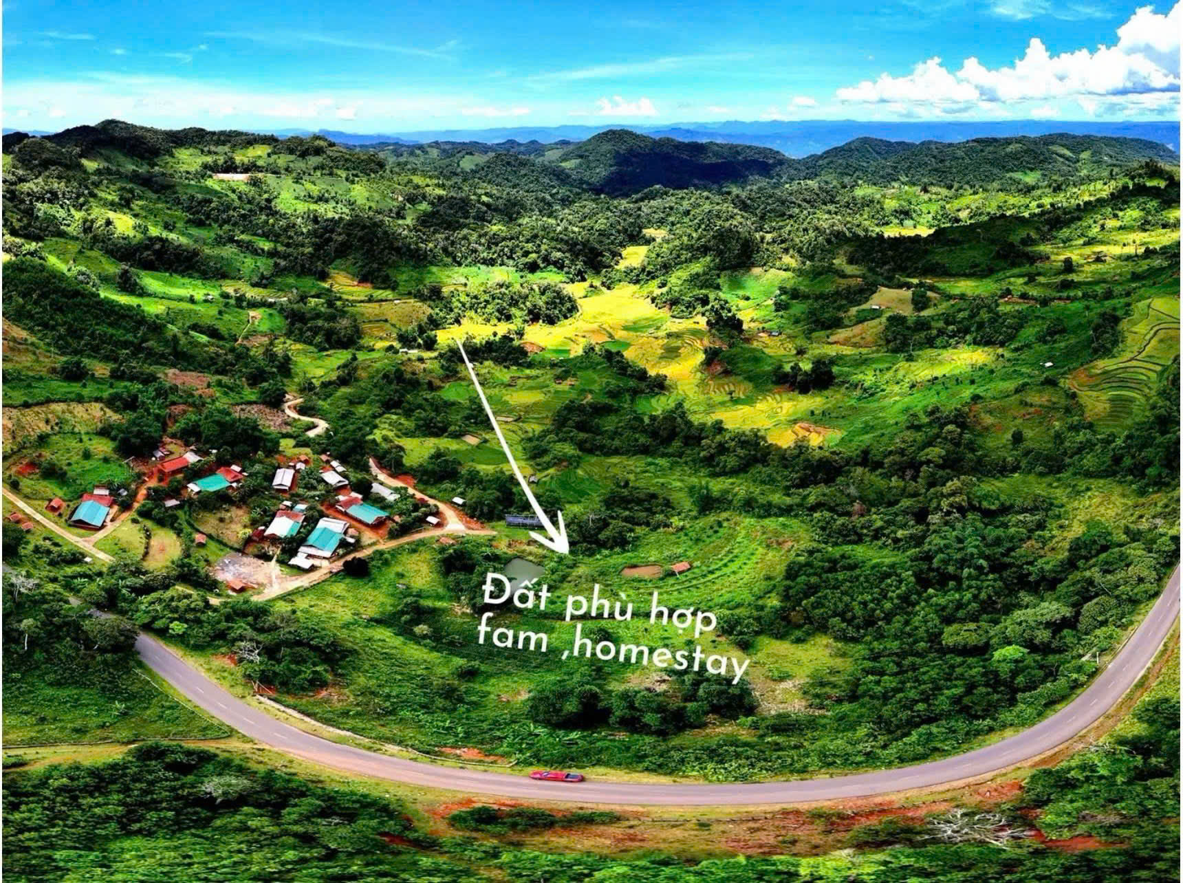 z6383442650652_37009057c809fb46f36f16c1347c7922