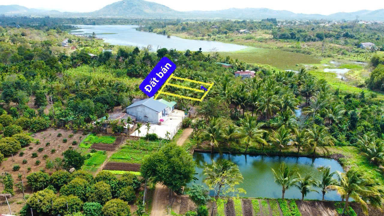 z6386071045500_7d210fb32cbf1ff13fd466ccb1e24cbe