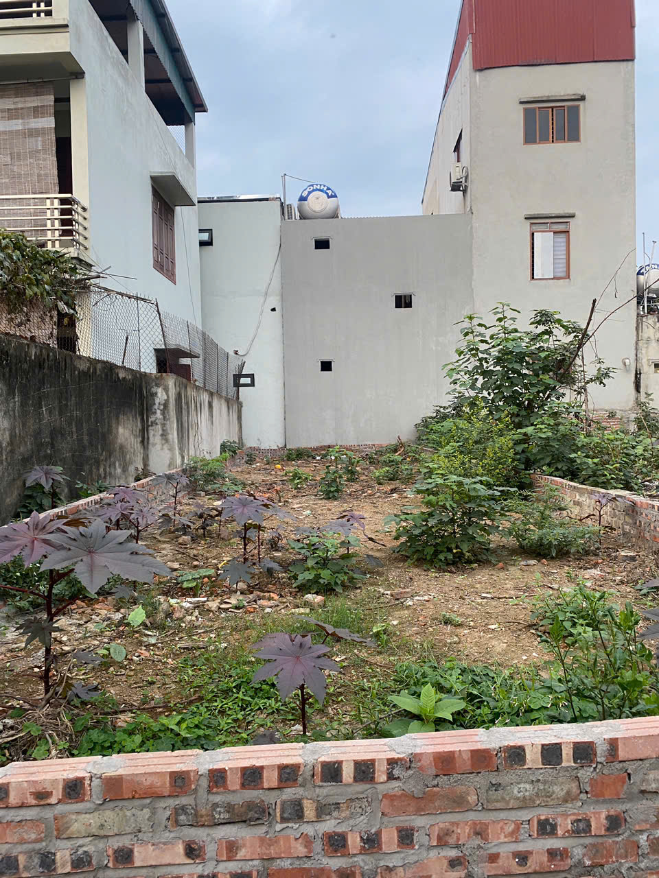 z6387241053879_7ccc1ad6aa7fe9e89a545389ef41f3ad