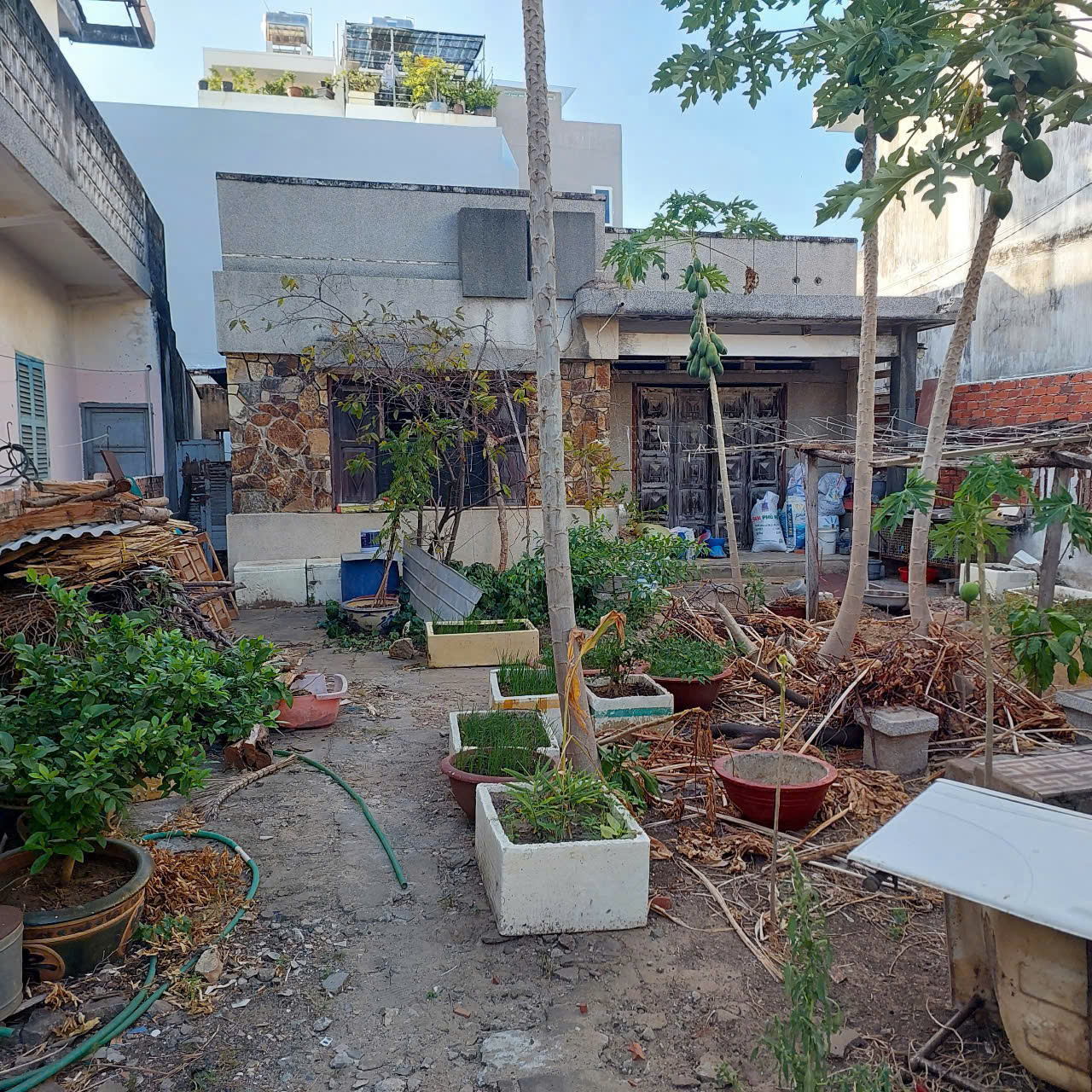 z6387279725847_df6d1b2703cb3e46692b471f5f8b971a