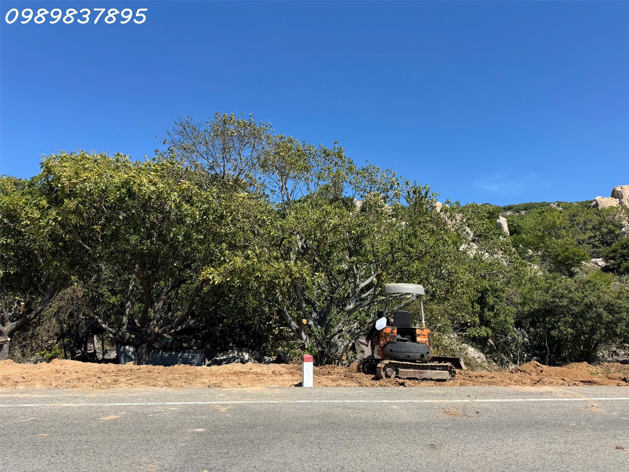 z6388040659550_6b22c02ee90fdc82567bdee1e8de5164