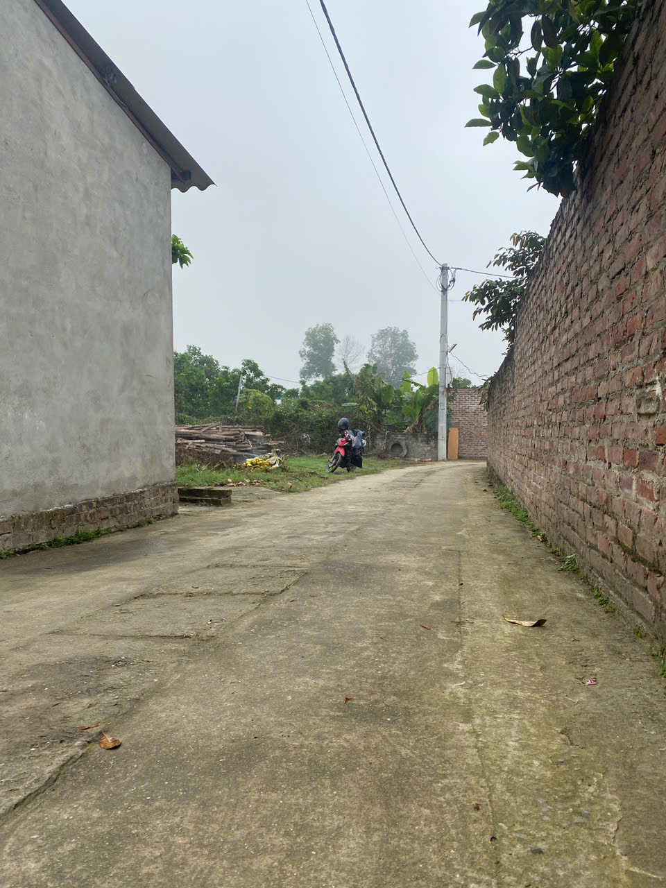 z6391817484187_e614ae1008e698721fd22770e42392dd