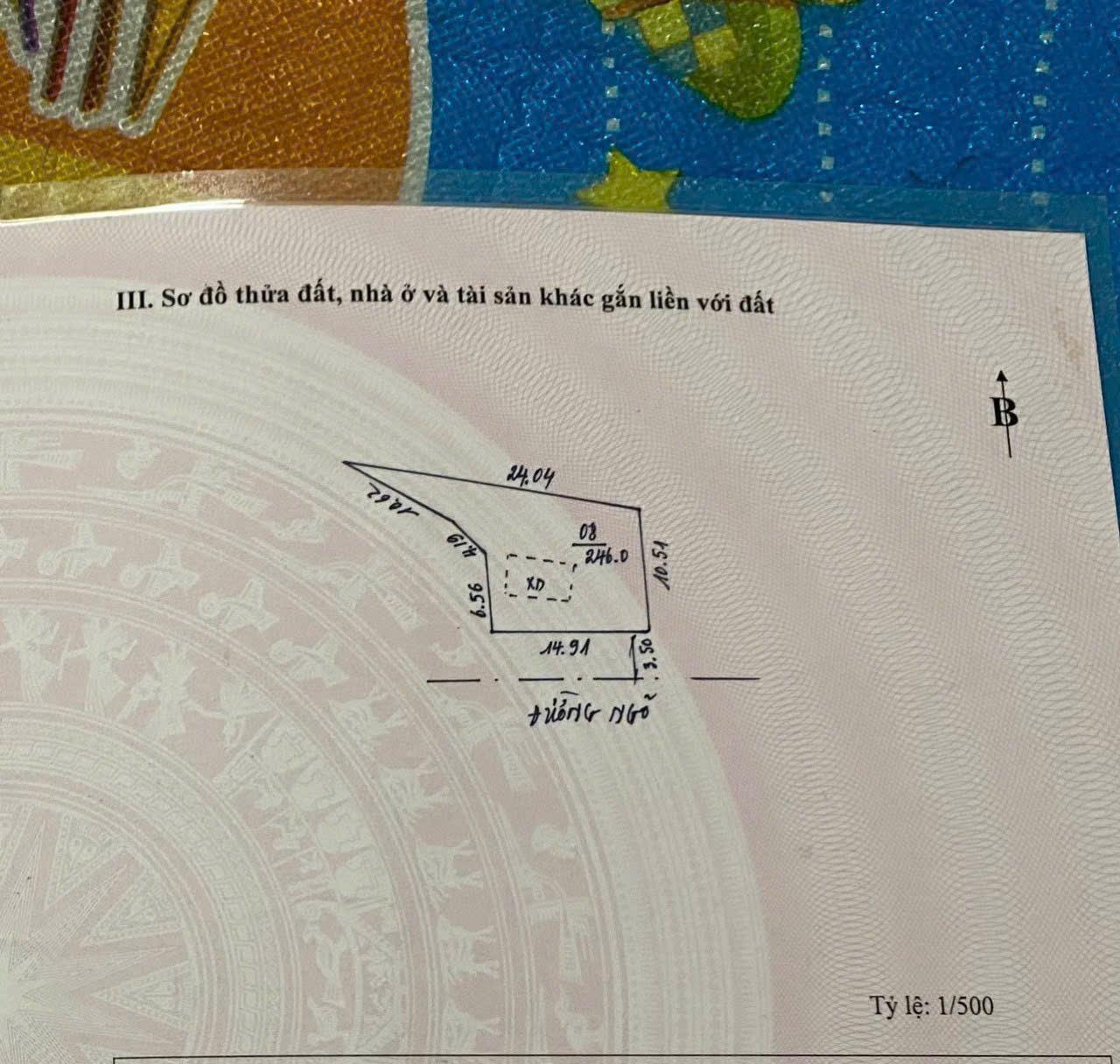 z6395274656577_91cb1af05689a4d8c9fa1de33ec05af4