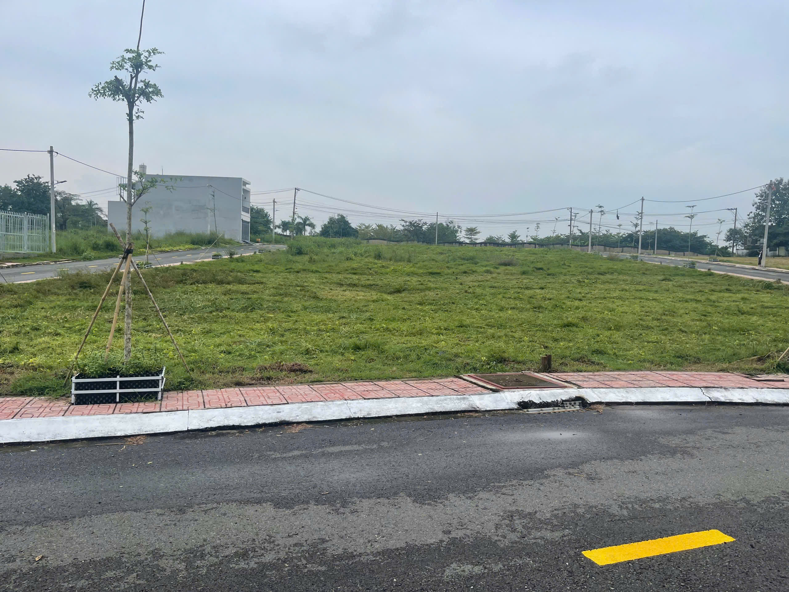 z6398381678351_5279c838b5a33f670848732408cdf17a