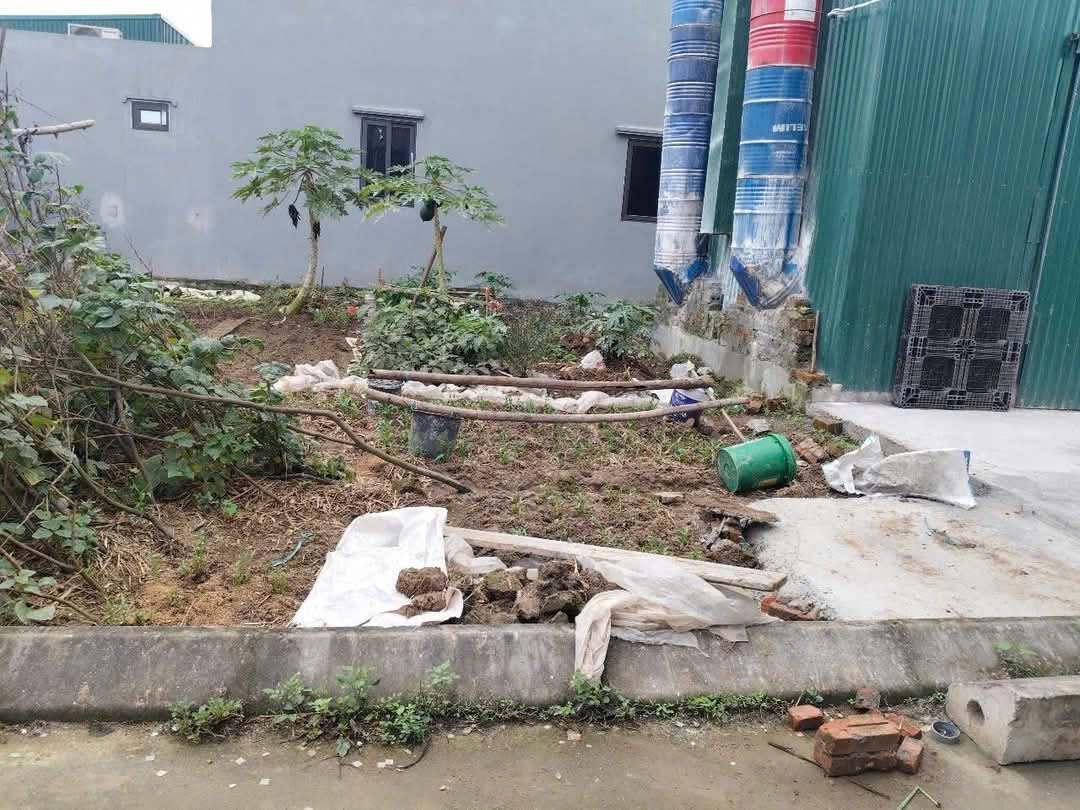 z6401760910481_aa43110bd94316bc23ae73b8510067ba