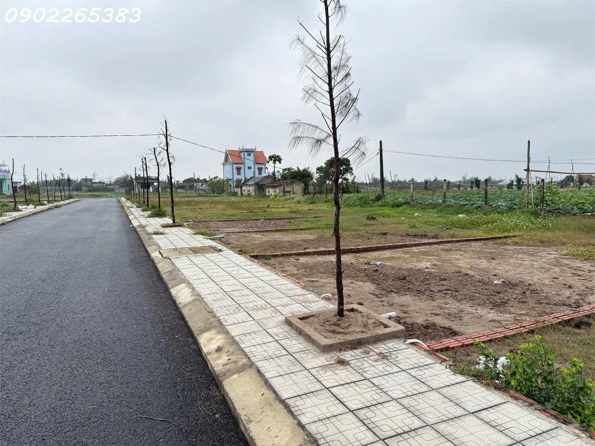 z6402472344137_869d86e92a552b481e9a5b9f455d10c1