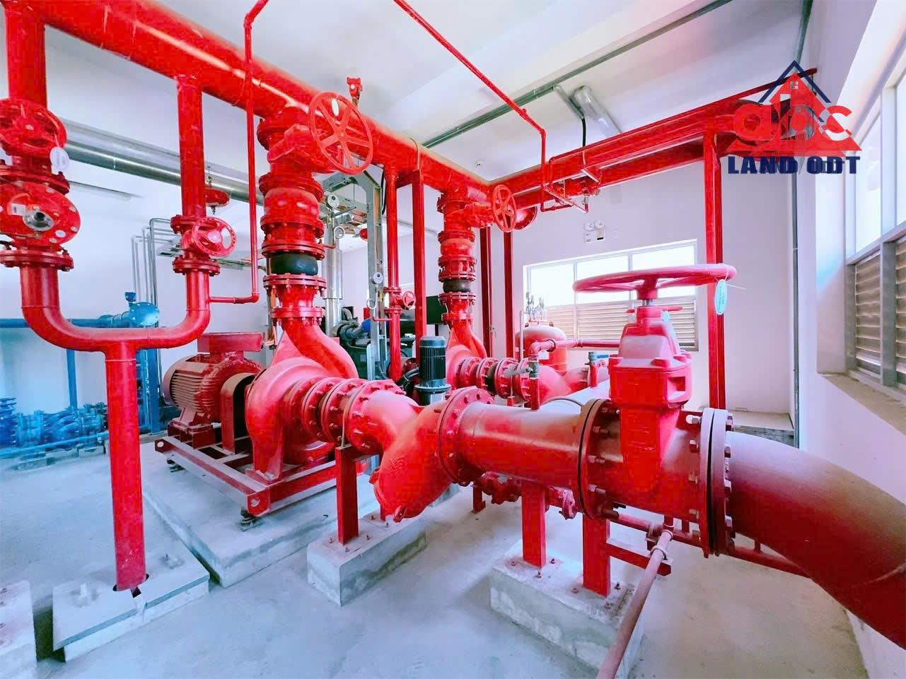 z6402578416914_55b175fa8bf39b038b68c92816bb6815