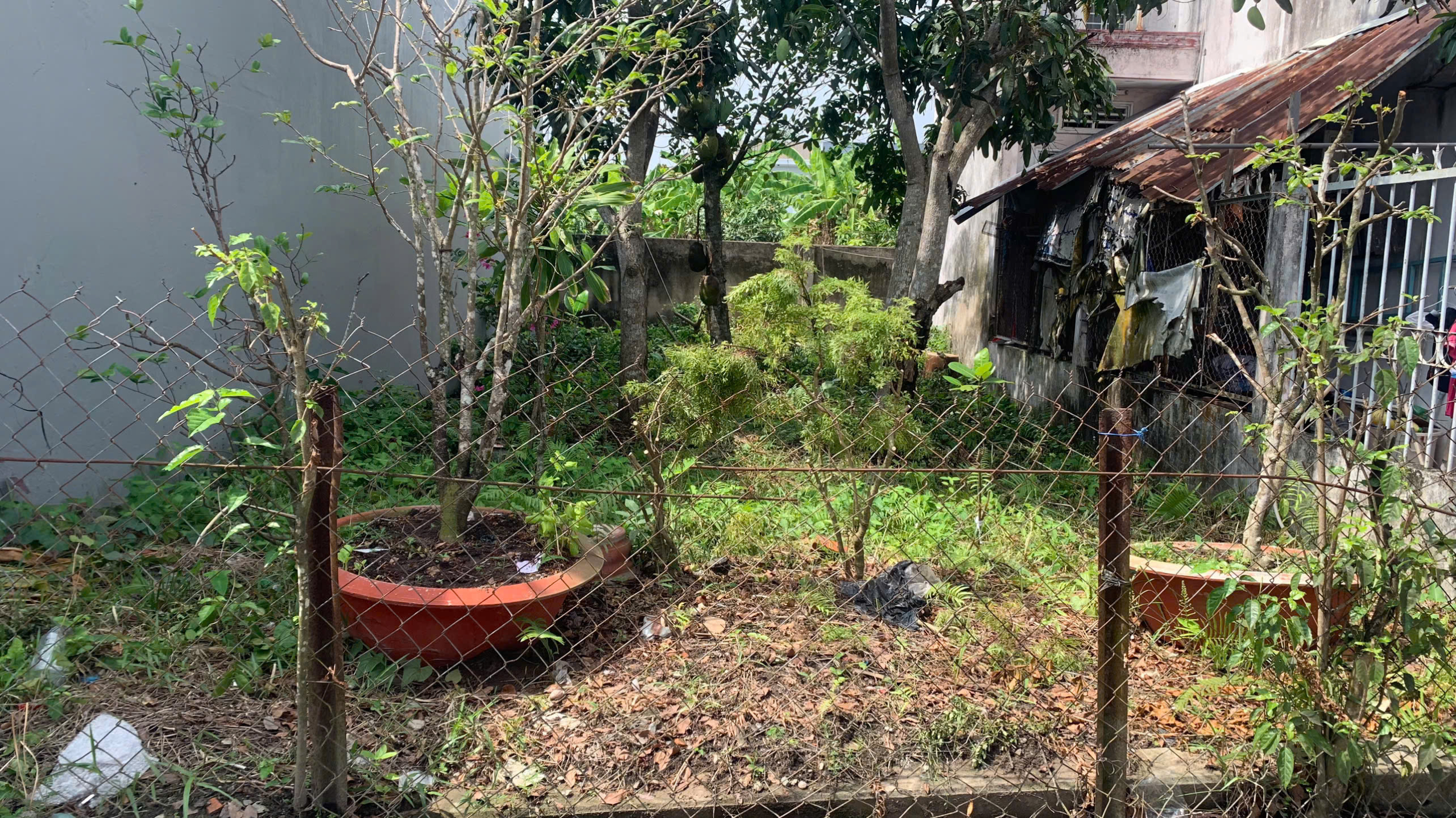 z6405035266004_1f965a2327fef603f735f29bafdcc237