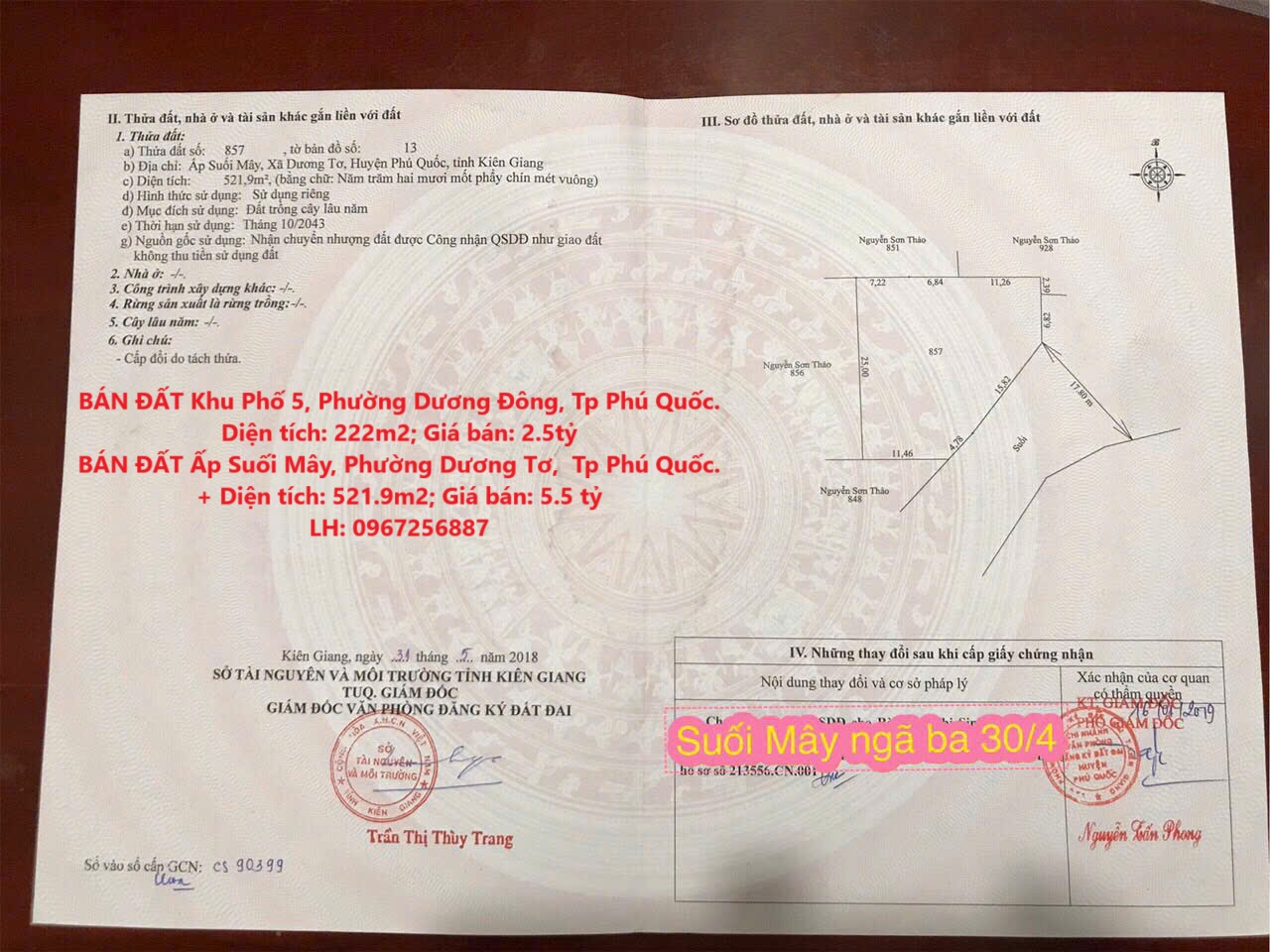 z6405065435137_877c57da8894dbad7a1d778156b610f