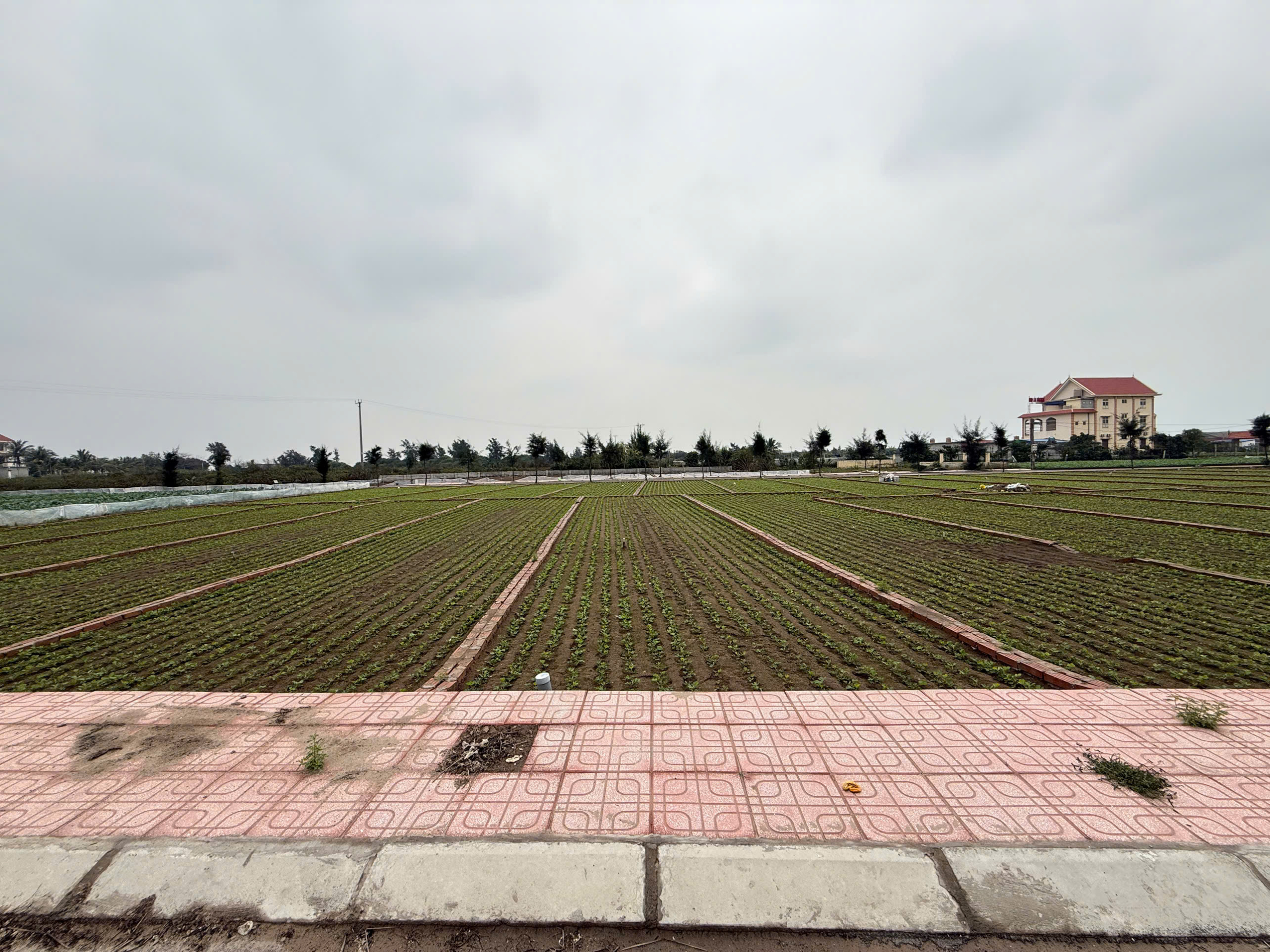 z6405121510892_156af49cc4ce6bc38a20e0e2edb89d0d