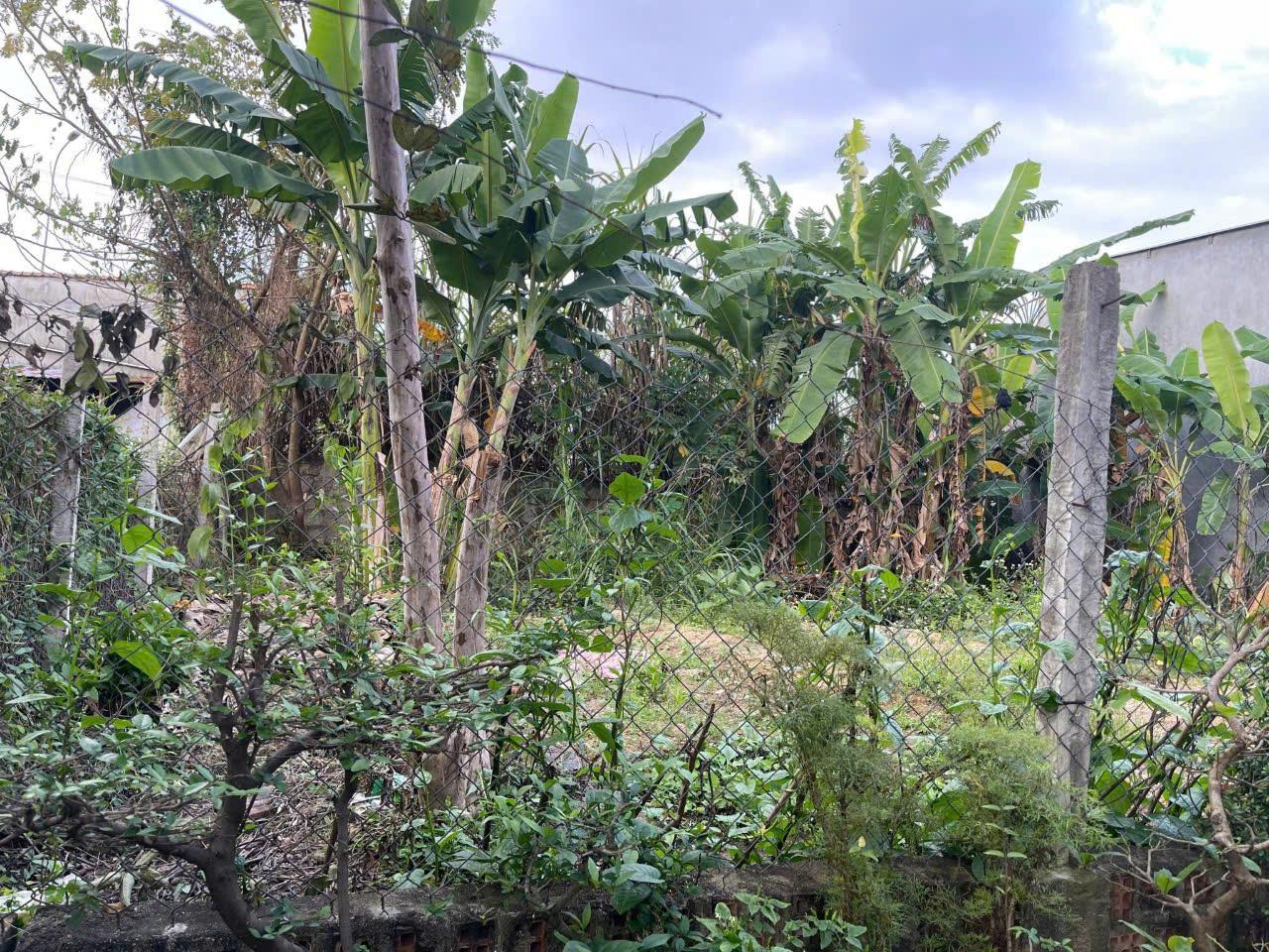 z6405717390838_fe28f46d0a4f170612a85cb51e99b3e9