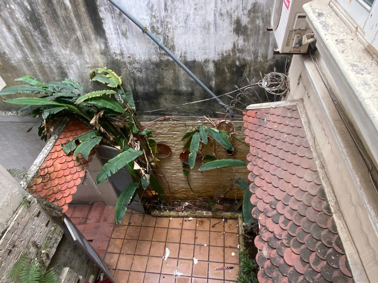 z6407248129884_956f974b5c37678cf6ebace64daea8fchht