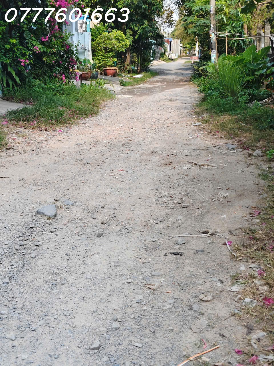 z6407376947492_6d9280fd6148de821959bcd88e423f28