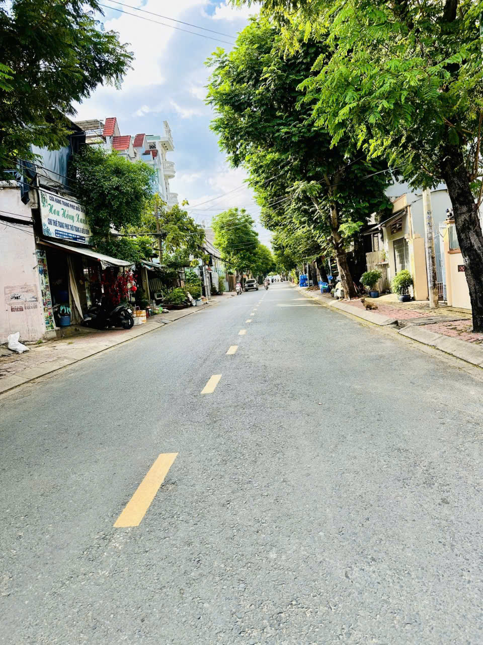 z6407689877775_92ca27a4ebaed62a4f492d7c04c1b9bd