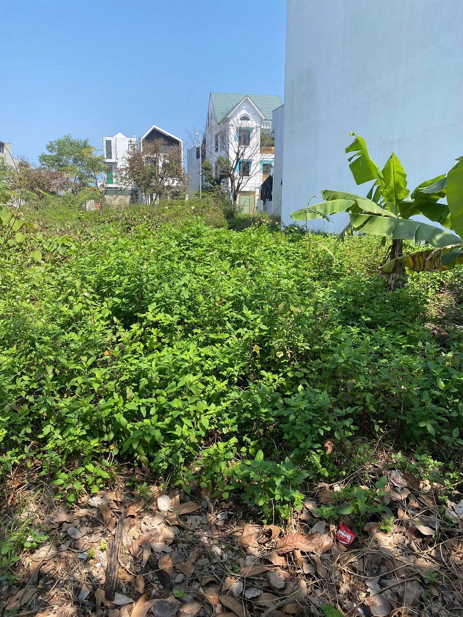 z6407951454983_af29d26071fed4d2e4707c51e2694e05