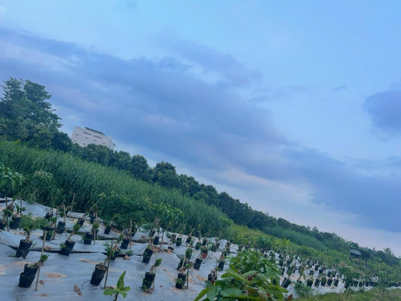 z6413129214458_18bbddb7dd1ac7f9da92711baf58e942