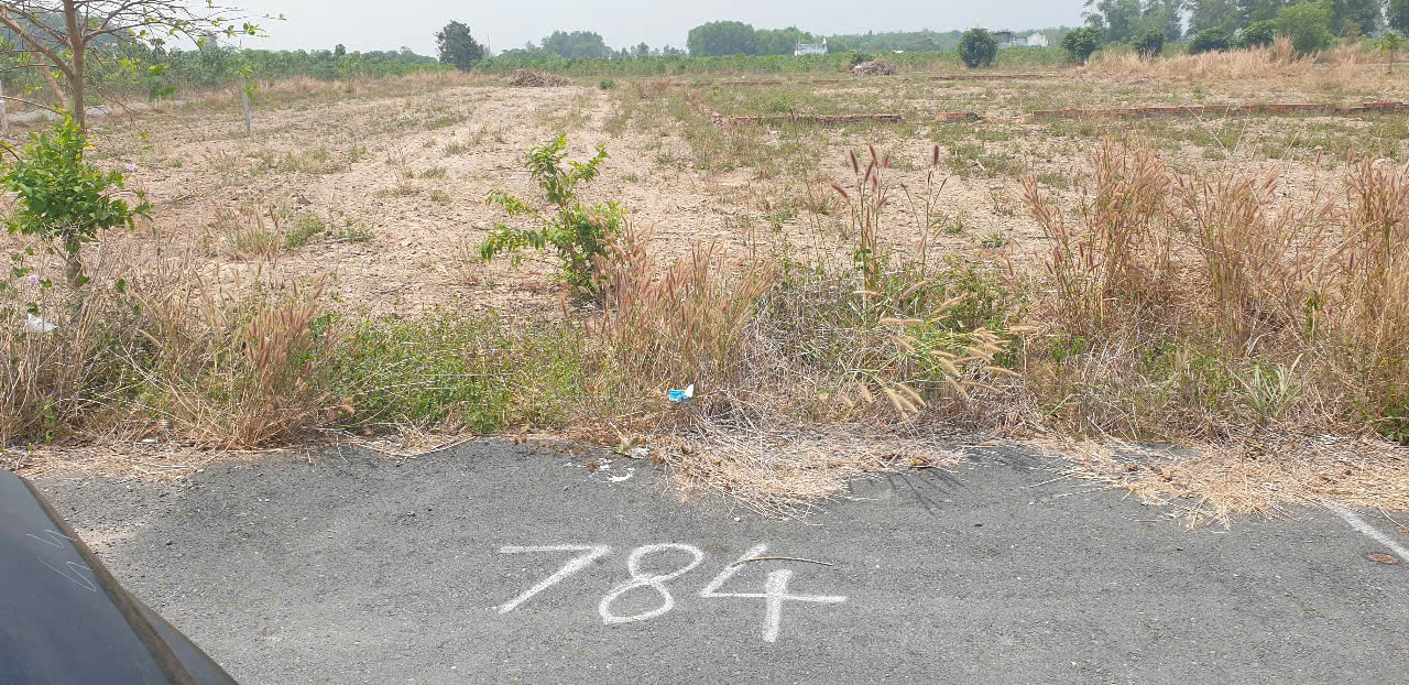 z6414849915347_010806a03b08347aa5b7e0937e2f8d39