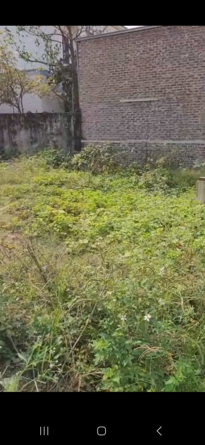 z6415464477610_b4d336c44b875963c6ea9a177f25dfdb