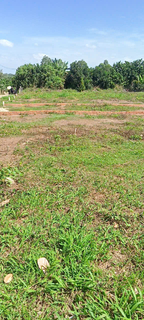 z6417356690563_727436889f581eb0bf05c99ff143266f