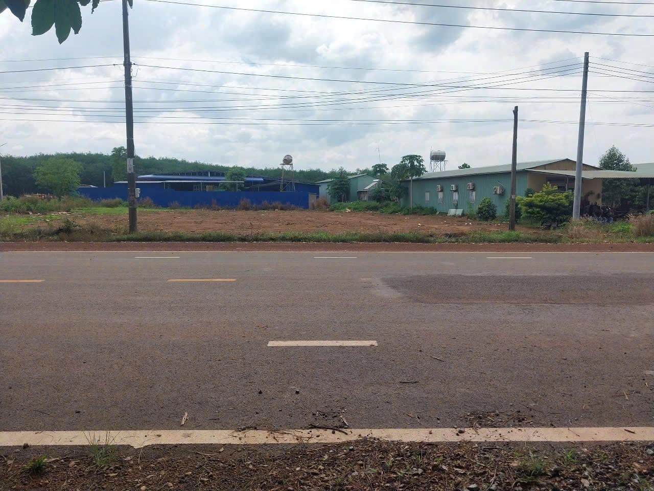 z6417576647830_1d9323face835753685b610dd7754169