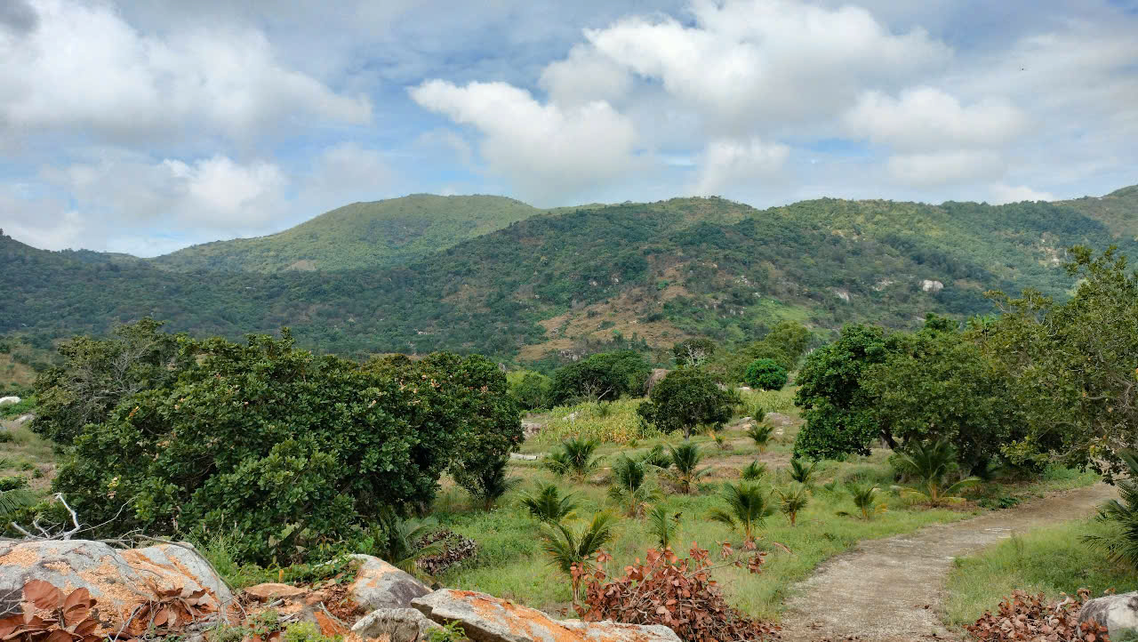 z6418763198521_6395cc097c40be4cb62693b171a4549b