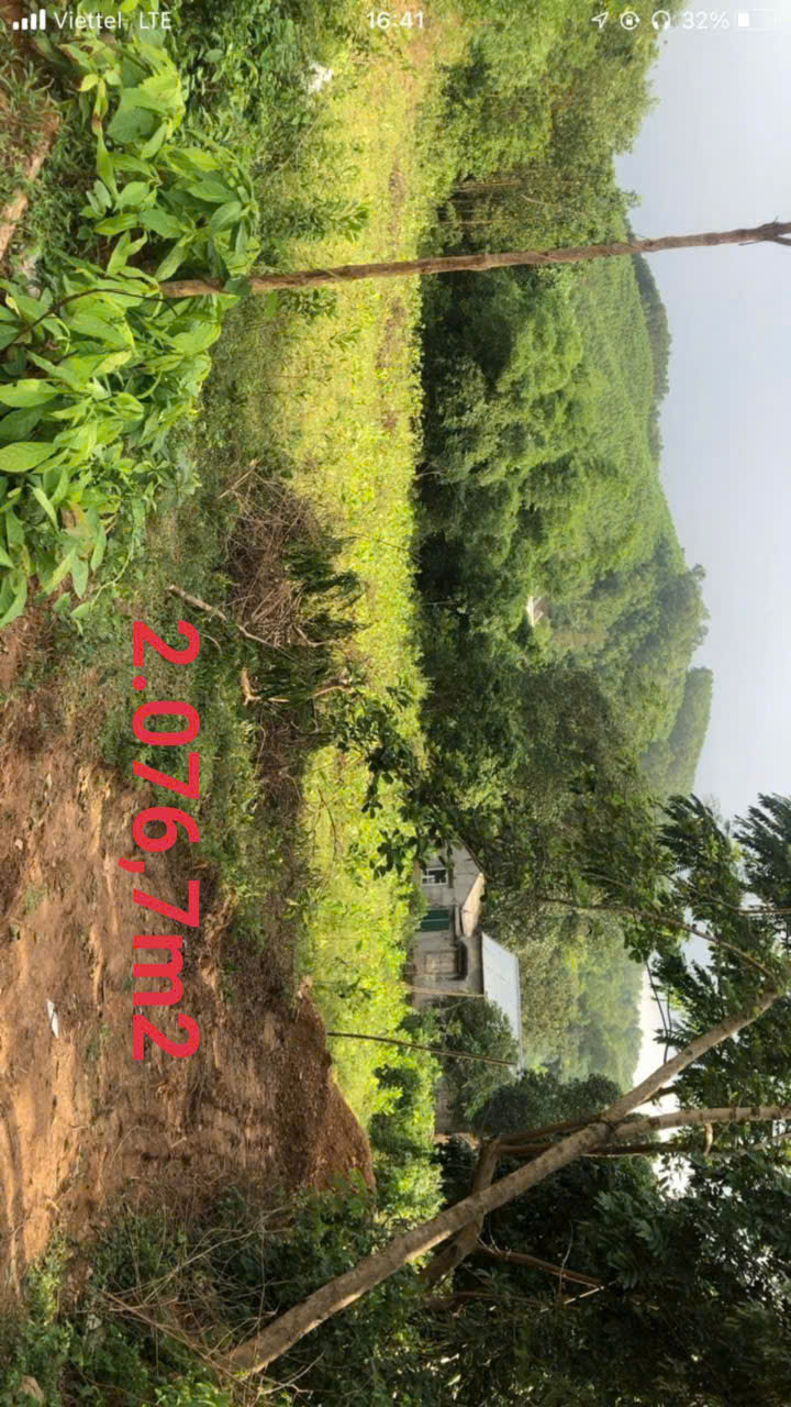 z6420520518367_43e812d4662a44503f8b4105e4d99c31