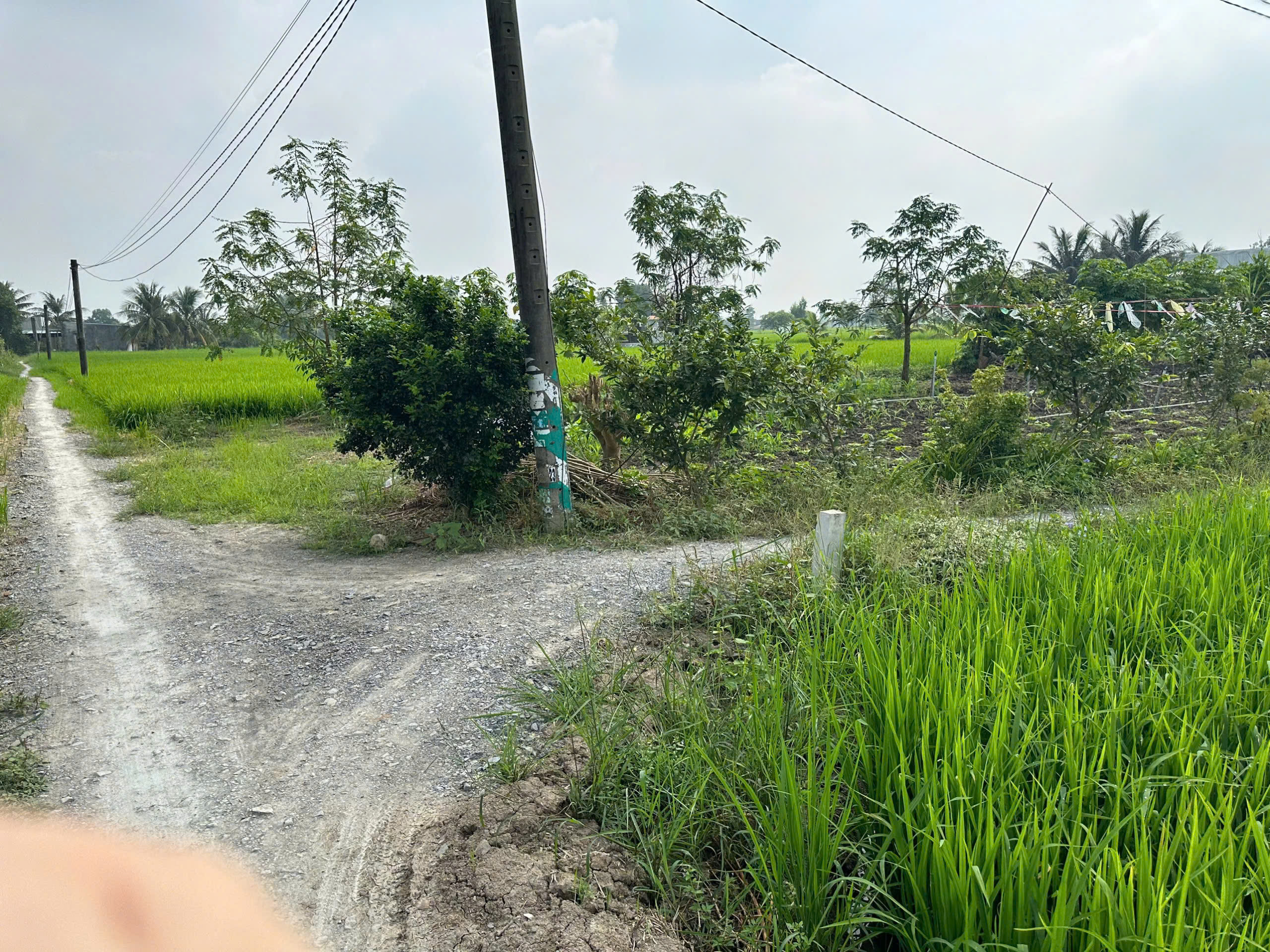 z6423821023656_5b75cf8f47a38f41e25c84bd2c5ff095