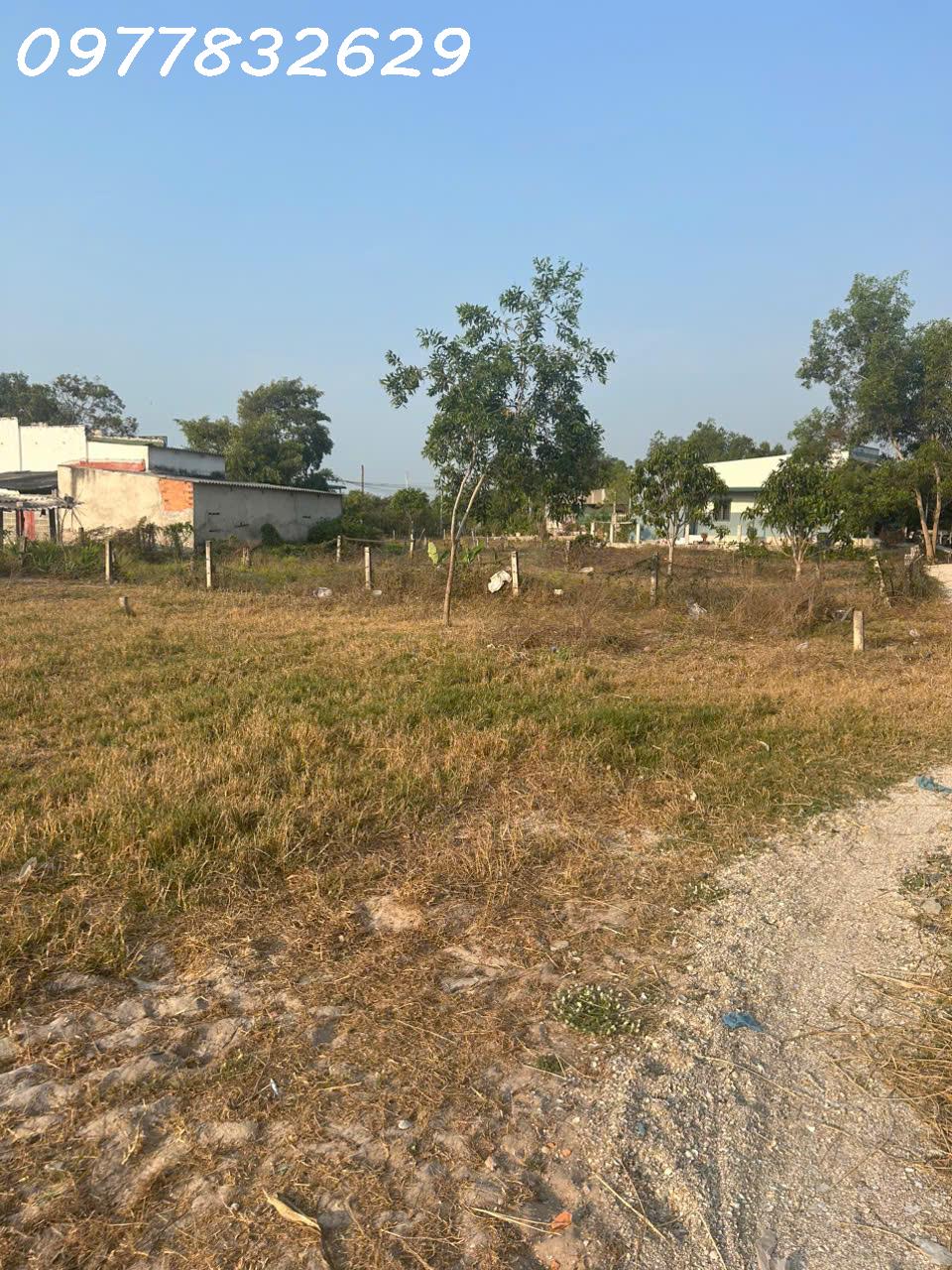 z6424588111429_cff7fcd5d94f9c2aae03b60e8fc7e230