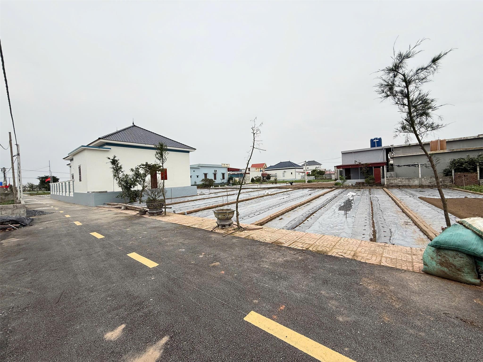 z6426231944079_f0f85322db79488e645ac40dc8f4a15e