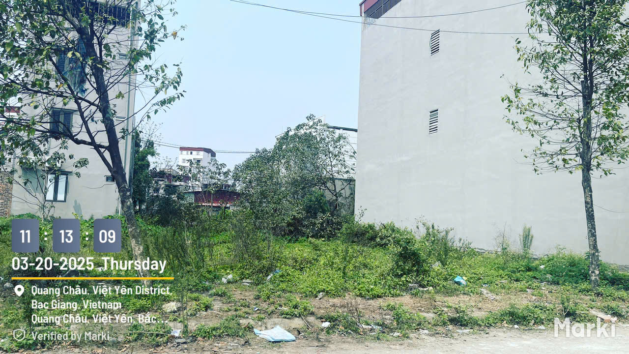 z6428821235183_6710e1f8dac91628c7ce36163e9def34