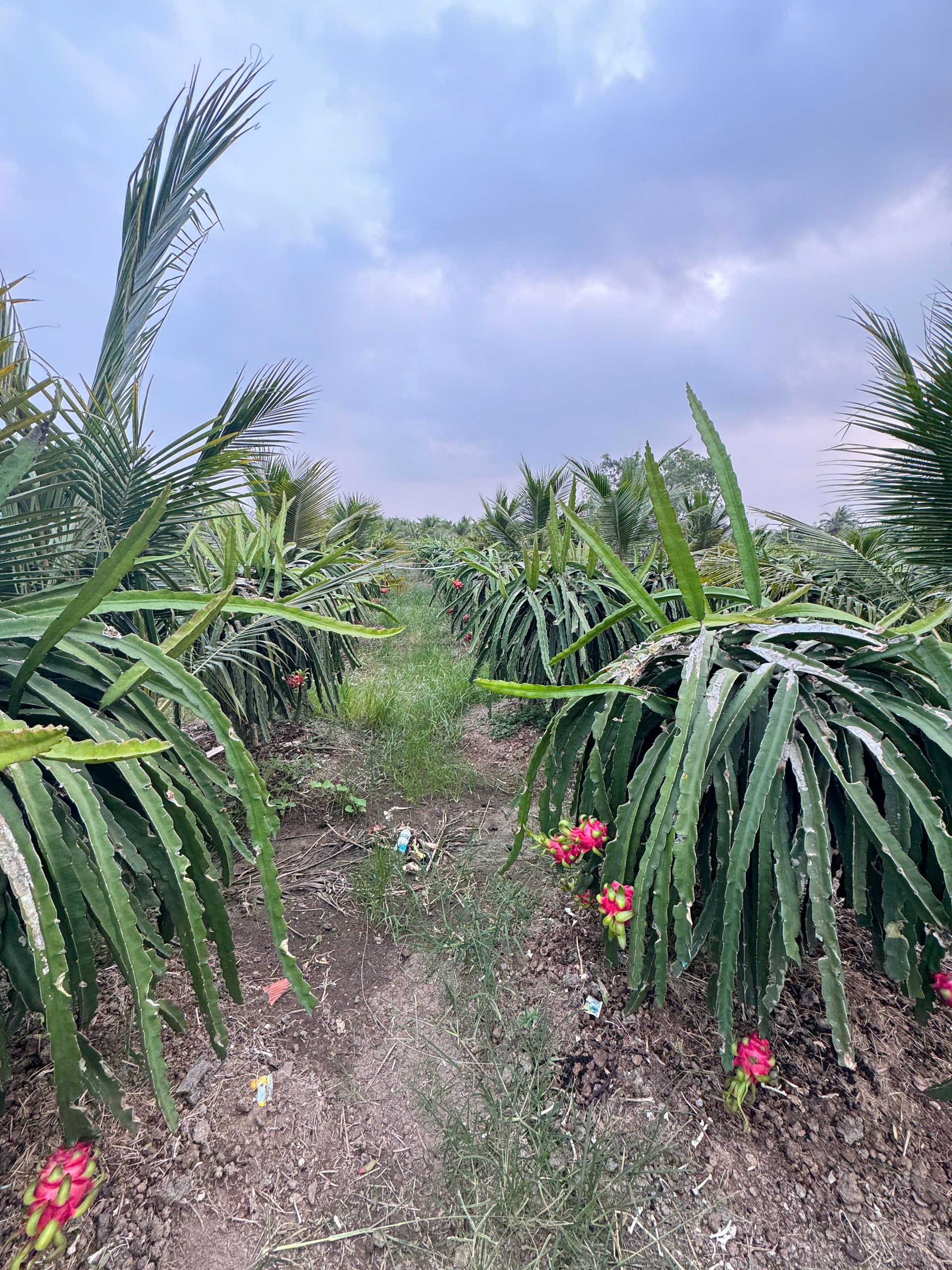 z6431211126102_048c7a8b46b88b1559e4a8a5159a48c8