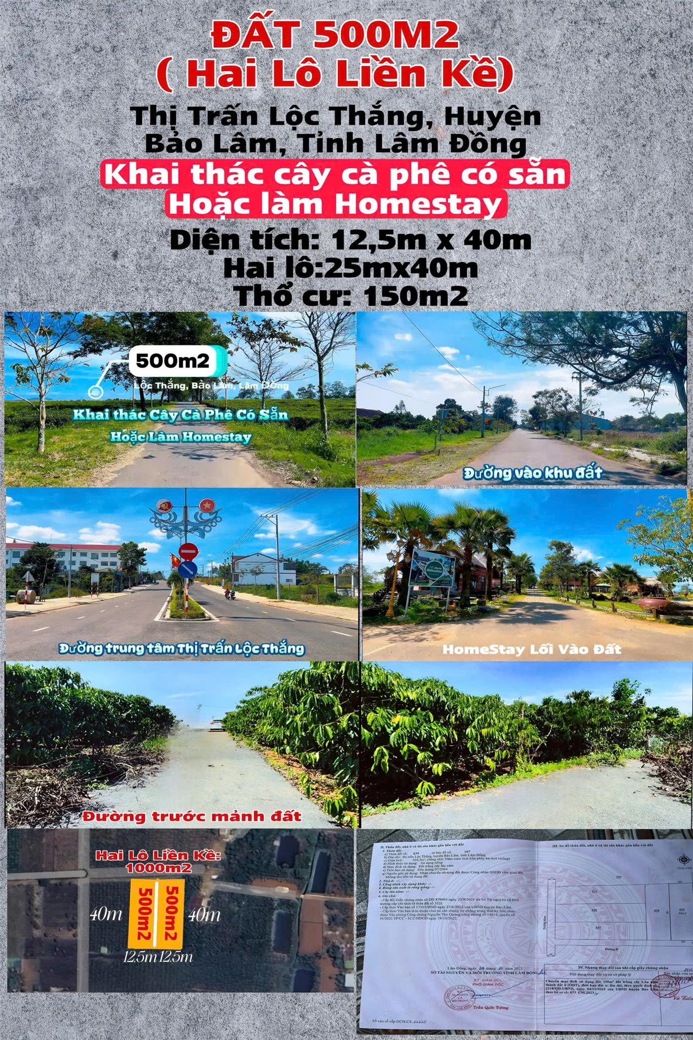 z6436500983770_f8e9ce542faf7479e66b5bb52569945c