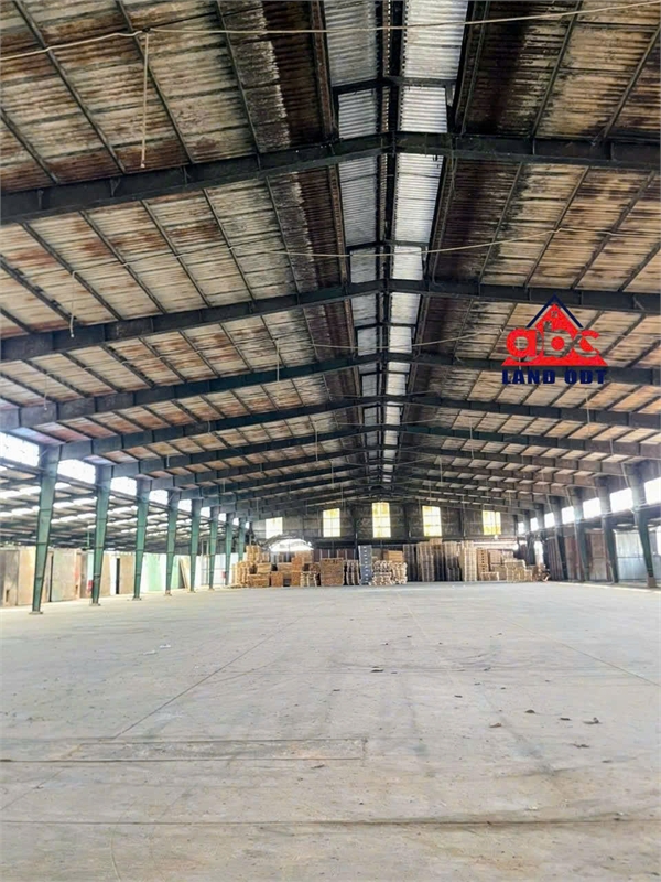 z6436775203162_e226ed27030abf7dff992aa800feaf05