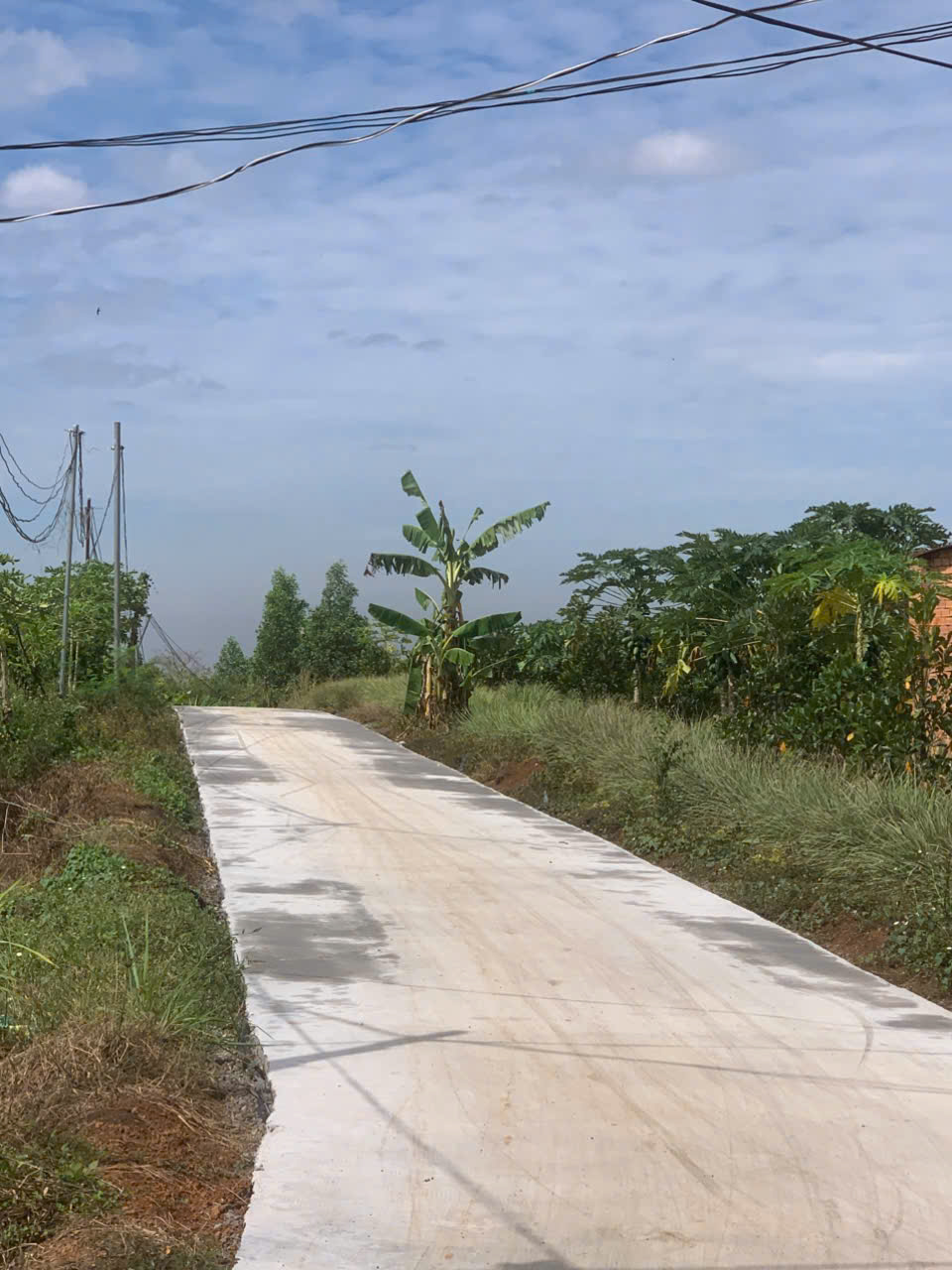 z6443059605161_be8b561a582bb179bea9a6700eb292a0